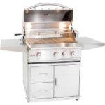 Blaze Outdoor Professional Natural Gas Grill
