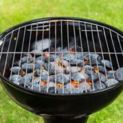 Charcoal in Grill