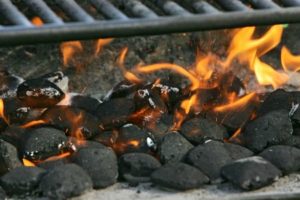 Charcoal Briquettes